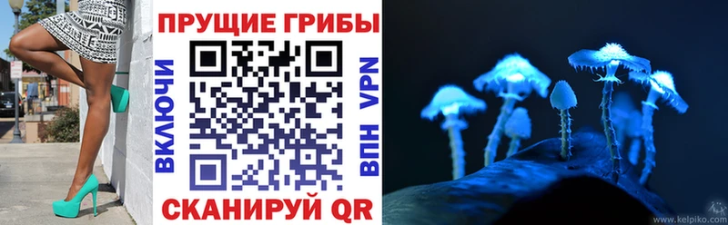 Псилоцибиновые грибы Cubensis  Усть-Кут 