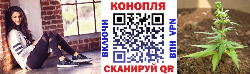 Бошки марихуана White Widow Усть-Кут